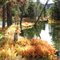 Fall Colors at Stanley Lake