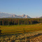 Sawtooth Range from Park Creek Overlook. Note the dying lodgepole pine (beetle kill)