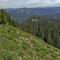View east from top of Basin Creek Butte