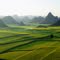 Rapes Field