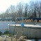 wheat, pool, and train