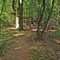William Warren County Park