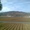 山下的铁路(Railway donw the Mountain)