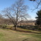 St. Raphael Cemetary