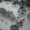 2008年孝感大雪