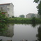 2008端午节在下雨