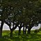 Trosclair Road, Near Creole, LA