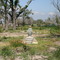 Jimmy Savoie Road, Cameron Parish, Louisiana  (June 2006)