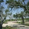 2 miles east of Cameron, Louisiana on Highway 82 after Hurricane Katrinia   (June 2006)
