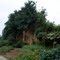 残存的古城墙 / The ancient city wall remains