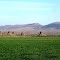 远眺凤凰山(Phoenix Mt, from a distance)