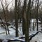 Des Plaines River Winter