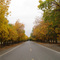石河子 fall