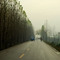 路