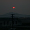 DSCN9177