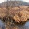 Bend in the crick