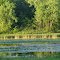 Chilson Lake