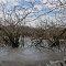 Ice melting on an Indian summer day, Cranberry Lake, Brighton Recreation Area, MI