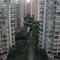都市叢林_Shanghai