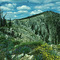 On Patrol Ridge. Frank Church Wilderness. Salmon River Mtns