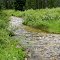 Dagger Creek as it begins its descent to the Middle Fork of the Salmon