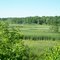 Dowagiac Creek
