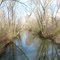Dowagiac River