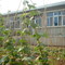 My home