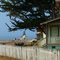 California - Point Cabrillo - Lighthouse