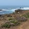 California - Point Cabrillo