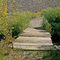Dogtown bridge