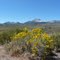 Sierra View
