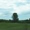 Trees past County Road 19
