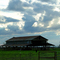 Old Barn on Franklin Blvd