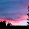 Sunset Over Elk Grove Rooftops