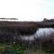 Stone Lakes National Wildlife Refuge