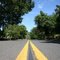 Road around Napa Valley