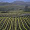 irgendwo im Napa Valley