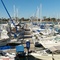Panorama Boats