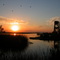 Sunset in the Sacramento Delta