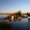Bayou living, San Joaquin Delta 2