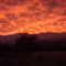 surise in Finley
