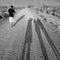 Desert Road