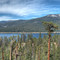 Above Huntington Lake, CA