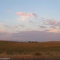 Sierra Foothill Grasslands