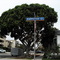 Santa Monica, Los Angeles, California