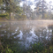 Mississippi Pond in the Morning