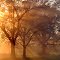 Mississippi sunrising