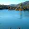 Ducks on Big Bear Lake