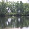Heron on the Magnetawan River